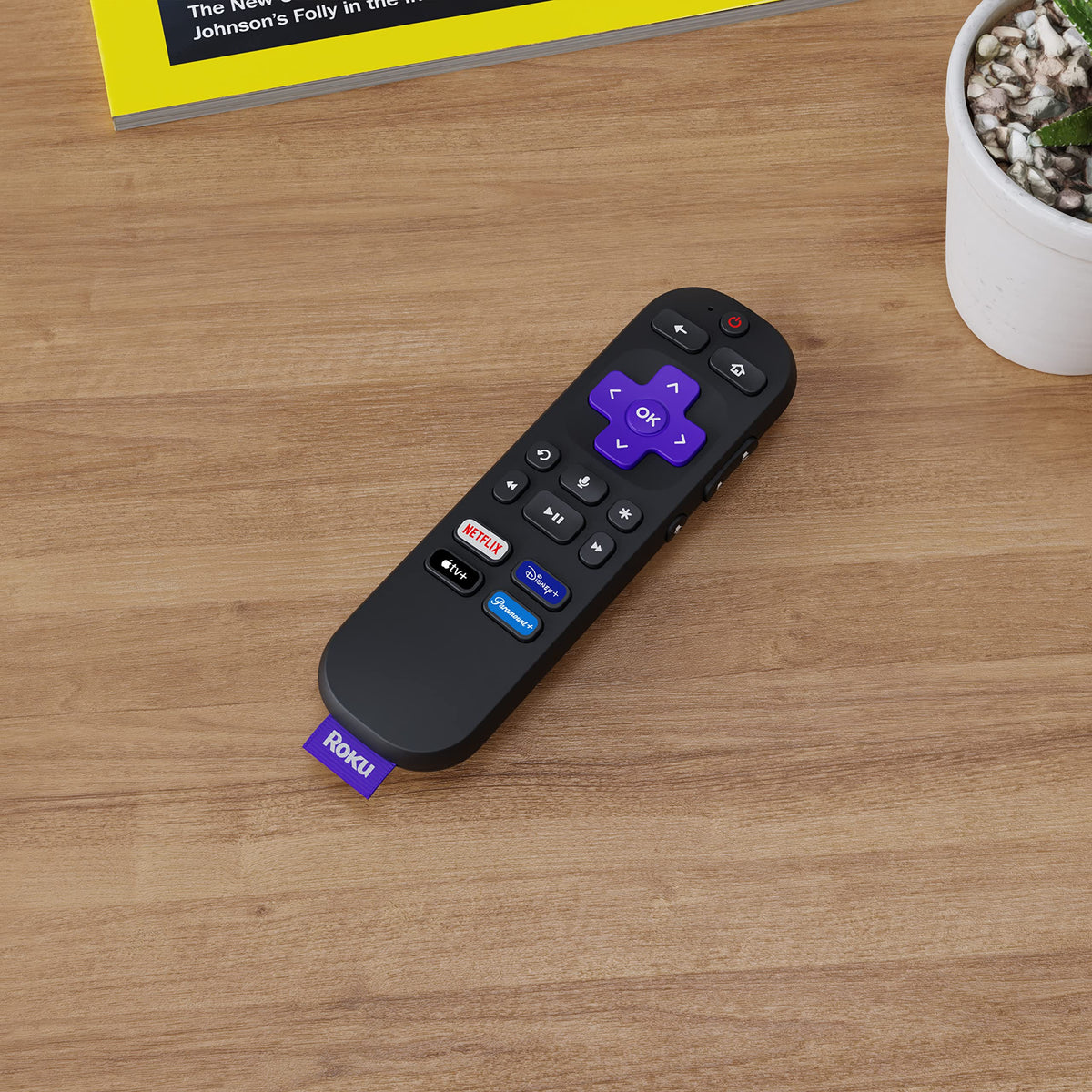 Roku Voice Remote voice search use, streamlining channel discovery