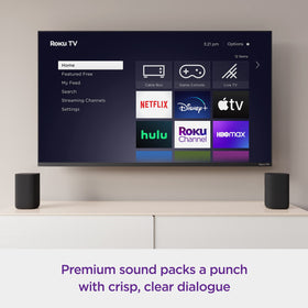 Roku Wireless Speakers Bluetooth streaming enables mobile music and podcasts