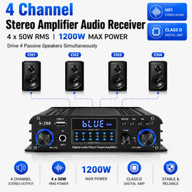 Romicta rear connections with speaker terminals and inputs for flexible setup