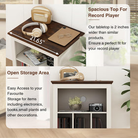 RowyPoey stand bottom dividers for categorized vinyl storage.