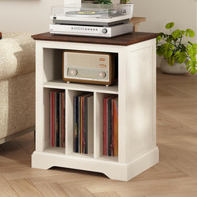 RowyPoey farmhouse stand top view with ample turntable surface.