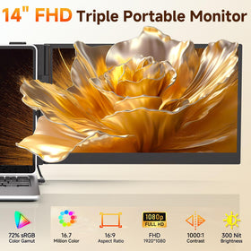 ROYY dual-screen setup supports extended and mirror modes for multitasking.