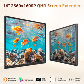ROYY detachable panels enabling flexible dual-screen setups for travel.