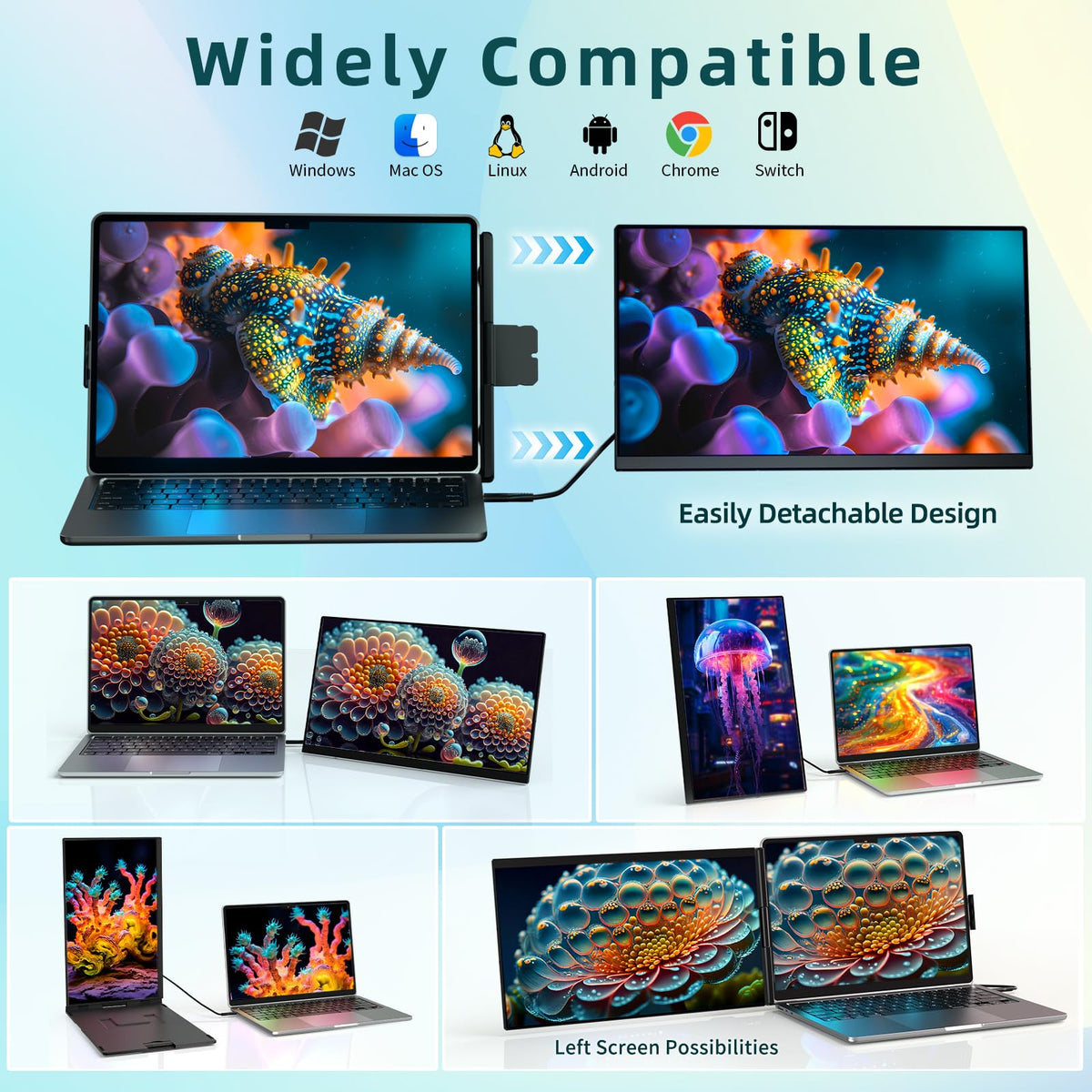 ROYY multiple display modes extend, mirror, or portrait layouts for versatile tasks