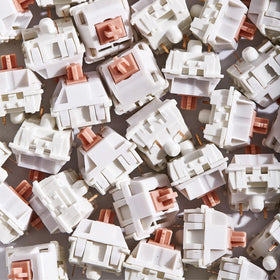 ROZELLA HOME box label and contents shot showing product info and included 100 switches