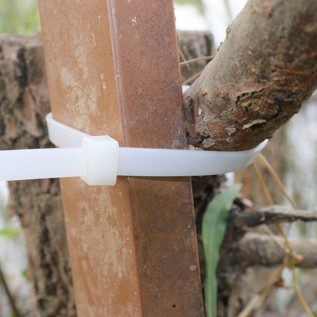 RUIHAO white zip tie securing garden lighting for outdoor installations.
