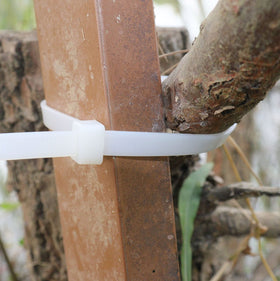 RUIHAO white zip tie securing garden lighting for outdoor installations.