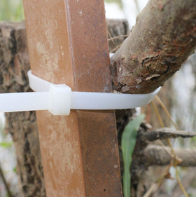 RUIHAO 36-inch white multiuse zip ties for garden and LED light projects.