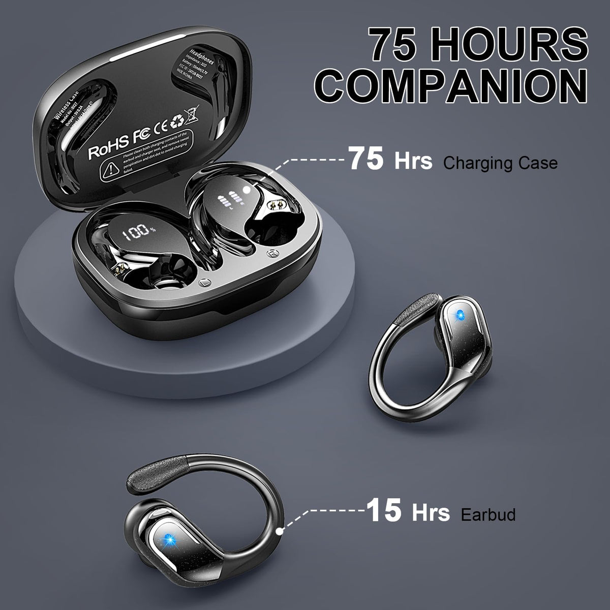 Rulefiss charging case with dual LED display showing remaining battery levels