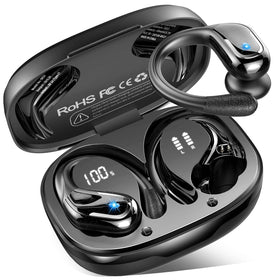 Rulefiss front packaging showing earbuds and case with clear branding and benefit