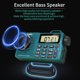 Rysamton 3W speaker with bass diaphragm delivers clear voice and rich sound.
