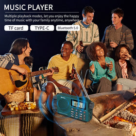 Rysamton microphone recording mode saves important moments clearly.
