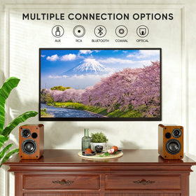 Saiyin active-passive bookshelf setup offers rich surround-like listening