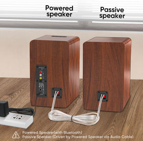 Saiyin Bluetooth bookshelf speakers rear ports reveal connection options and sub-out