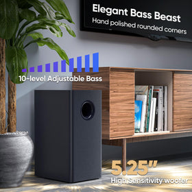 Saiyin soundbar 10-level-bass control for tailored listening.