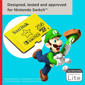 Graphic showing 256GB capacity to store games and captures.