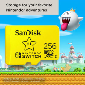 Screenshots and video capture icons tied to Nintendo Switch usage with SanDisk card.
