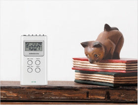 Sangean DT-120 back view showing compact portability.