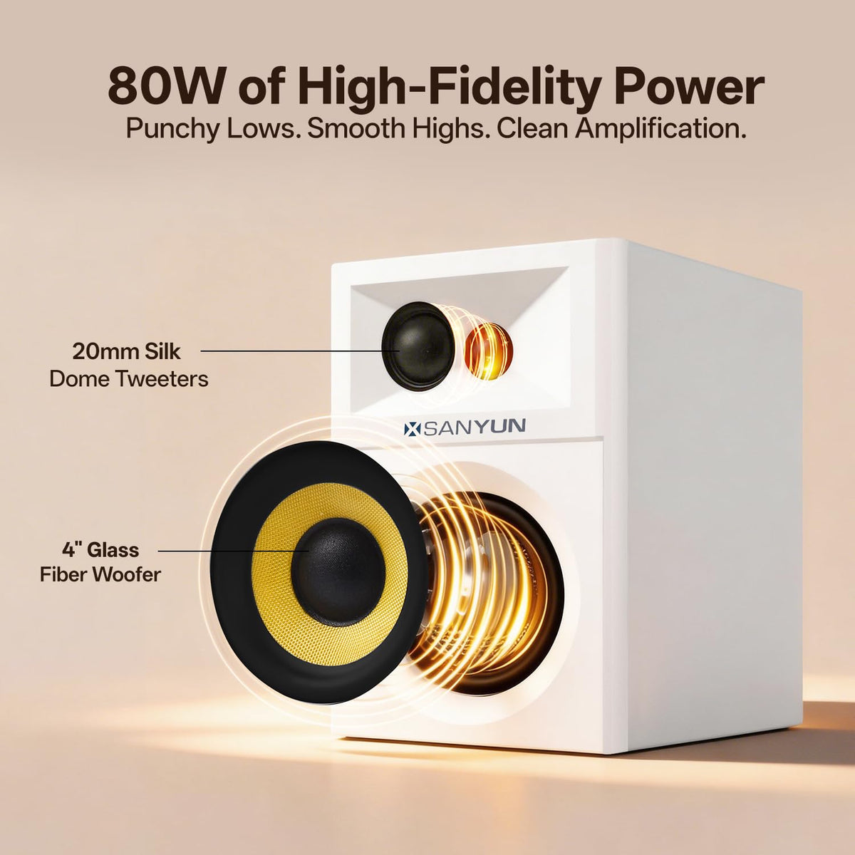 Sanyun SW205 back panel showcasing connectivity options and ports