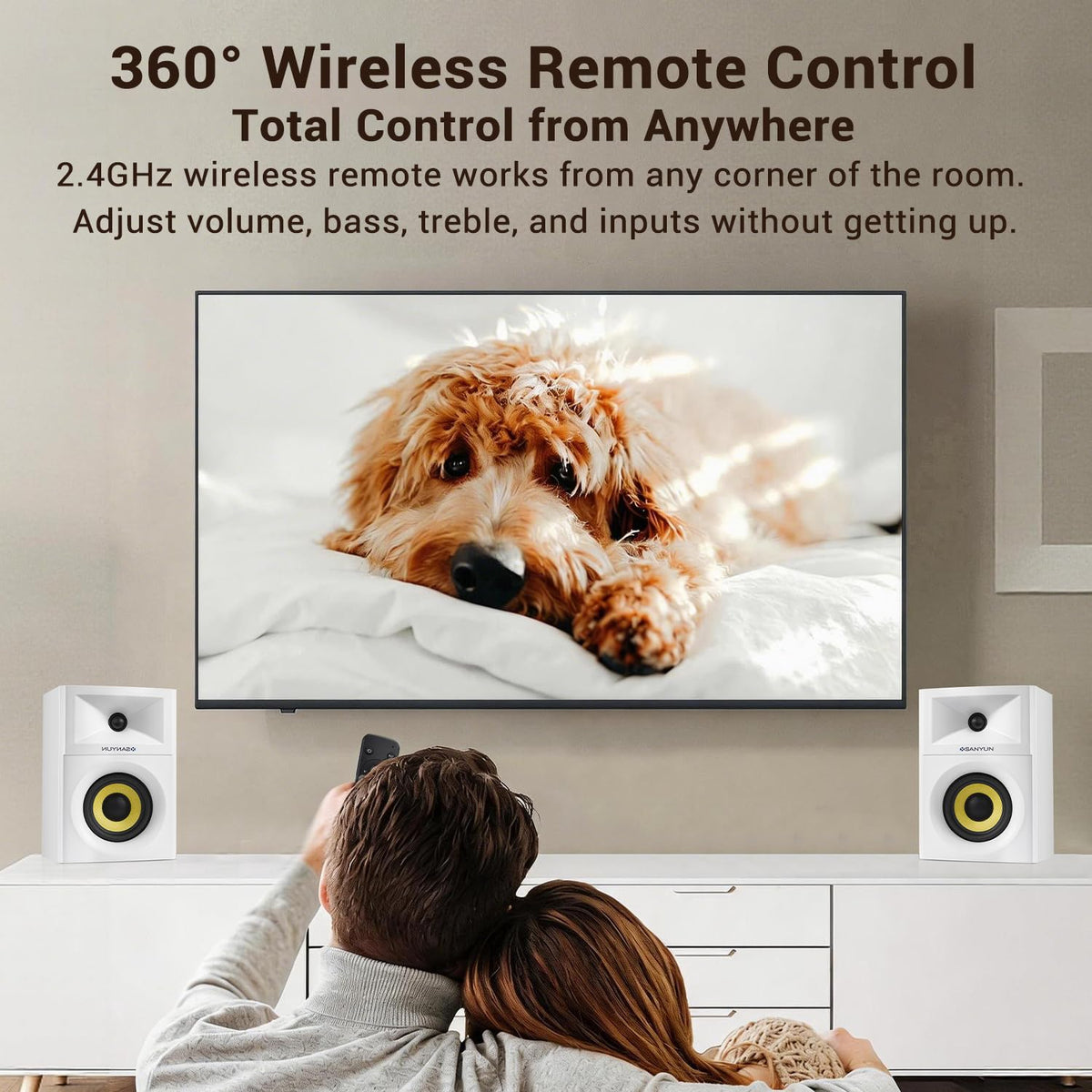 Sanyun SW205 Bluetooth pairing in progress for wireless streaming