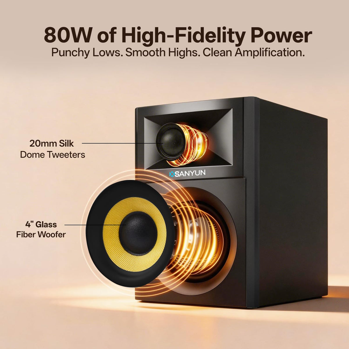 Sanyun SW205 rear panel with optical, AUX ports and tone knobs for flexible connectivity