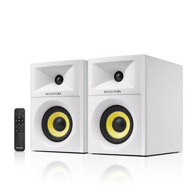 Sanyun SW205 4" glass fiber woofer close-up showing tight bass capability for home listening