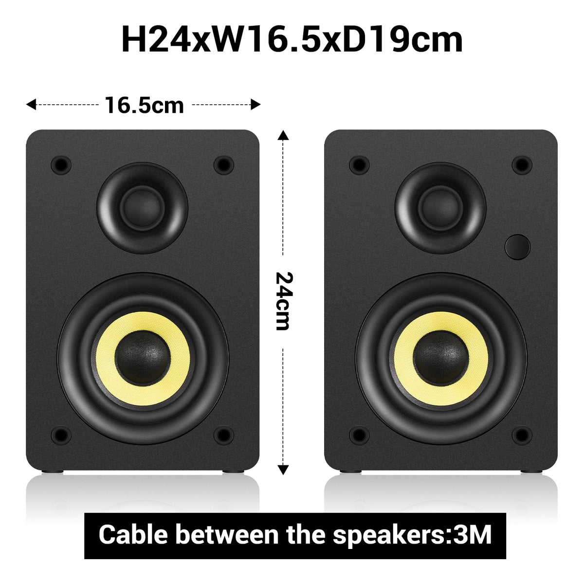 Sanyun SW206 driver close-up carbon woofer highlighting bass potential