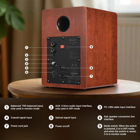 Sanyun SW206 professional lab-tuned response for accurate playback.