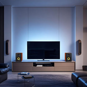 Sanyun SW206 remote control for quick volume and input adjustments.