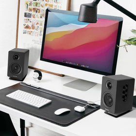 Sanyun SW601 on desk pair enhances sound height and clarity