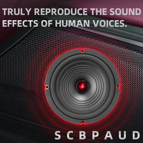 SCBPAUD installation-ready car audio system for straightforward upgrades