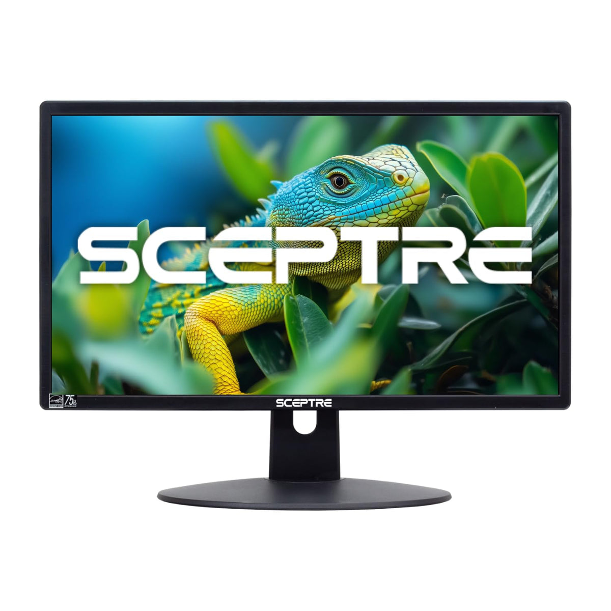 Sceptre 20in HD+ monitor front view ideal for crisp work and casual gaming