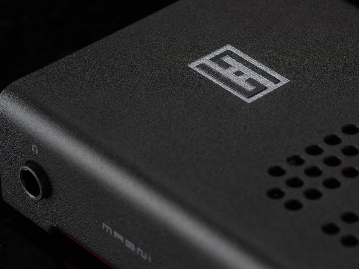 Schiit Magni Heretic rear ports enable preamp outputs for monitors or amps.