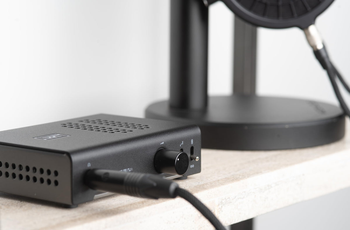 Schiit Magni Unity back panel shows preamp outputs for powered monitors.