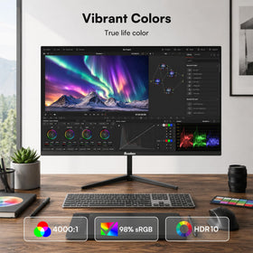 Sealan 24-inch monitor HDMI and DP ports for easy setup with laptops.