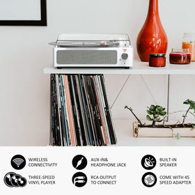 seasonlife back panel with RCA, AUX and power showing versatile connectivity