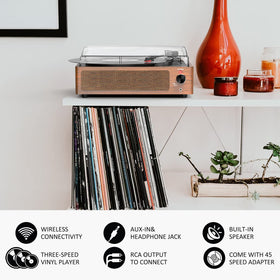 seasonlife back panel with RCA AUX Bluetooth ports enabling flexible connections