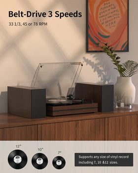 Seasonlife dual external speakers deliver richer stereo for immersive vinyl listening.