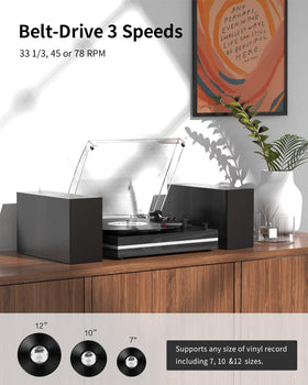 Seasonlife dual-speaker system on a vintage turntable delivers fuller room-filling audio.