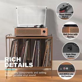 seasonlife dust cover and wood grain finish protecting records and enhancing decor