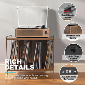 seasonlife platter with speed controls highlighting 33/45/78 rpm flexibility