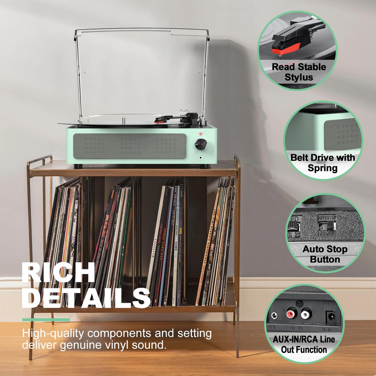 seasonlife next to vinyl record showing scale and suitability for 12-inch LPs