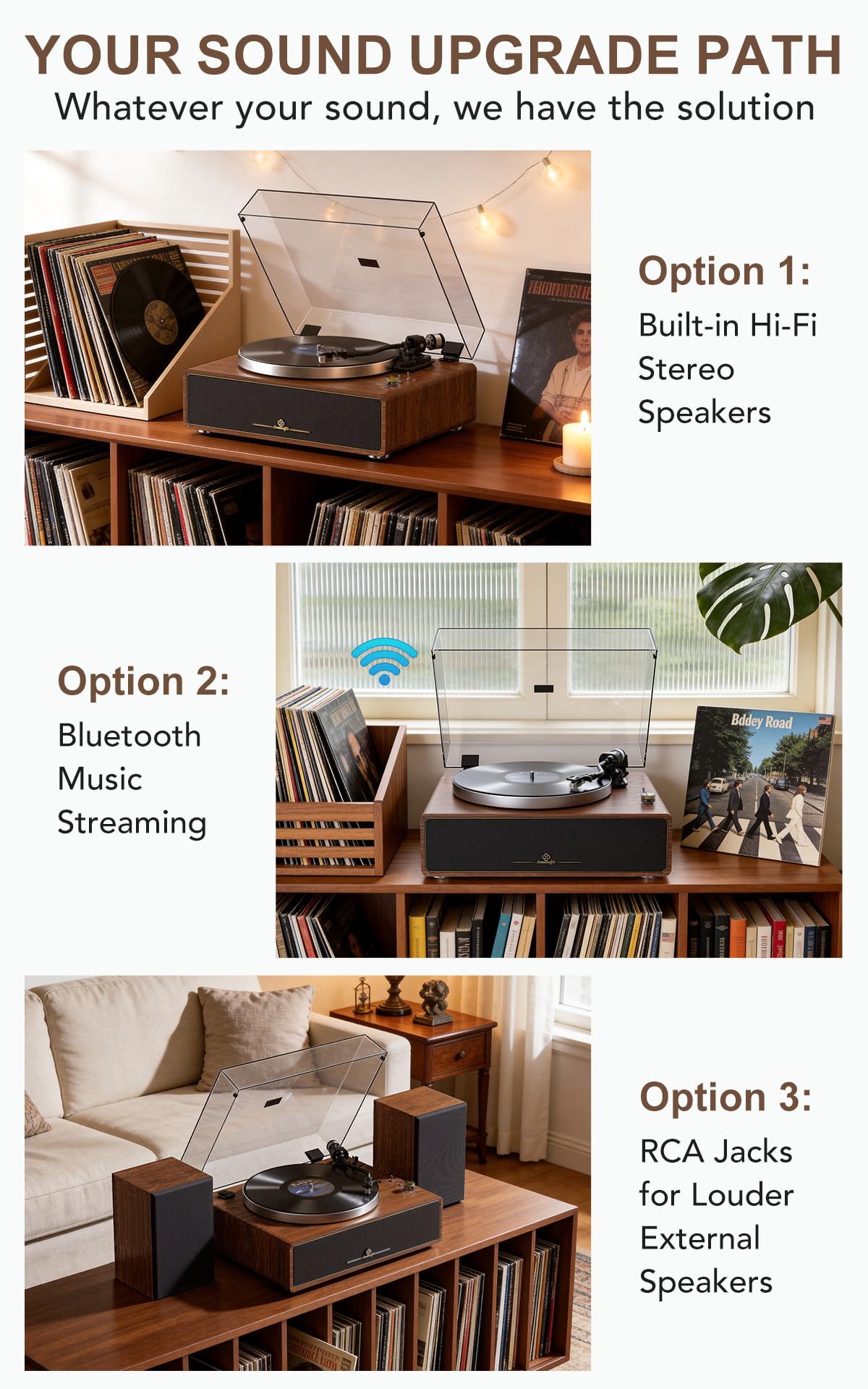 Seasonlife turntable AT-3600 stylus captures delicate nuances