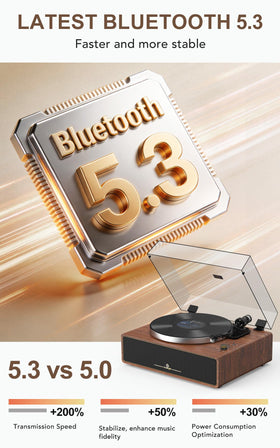 Seasonlife turntable RCA line-out lets external speakers shine