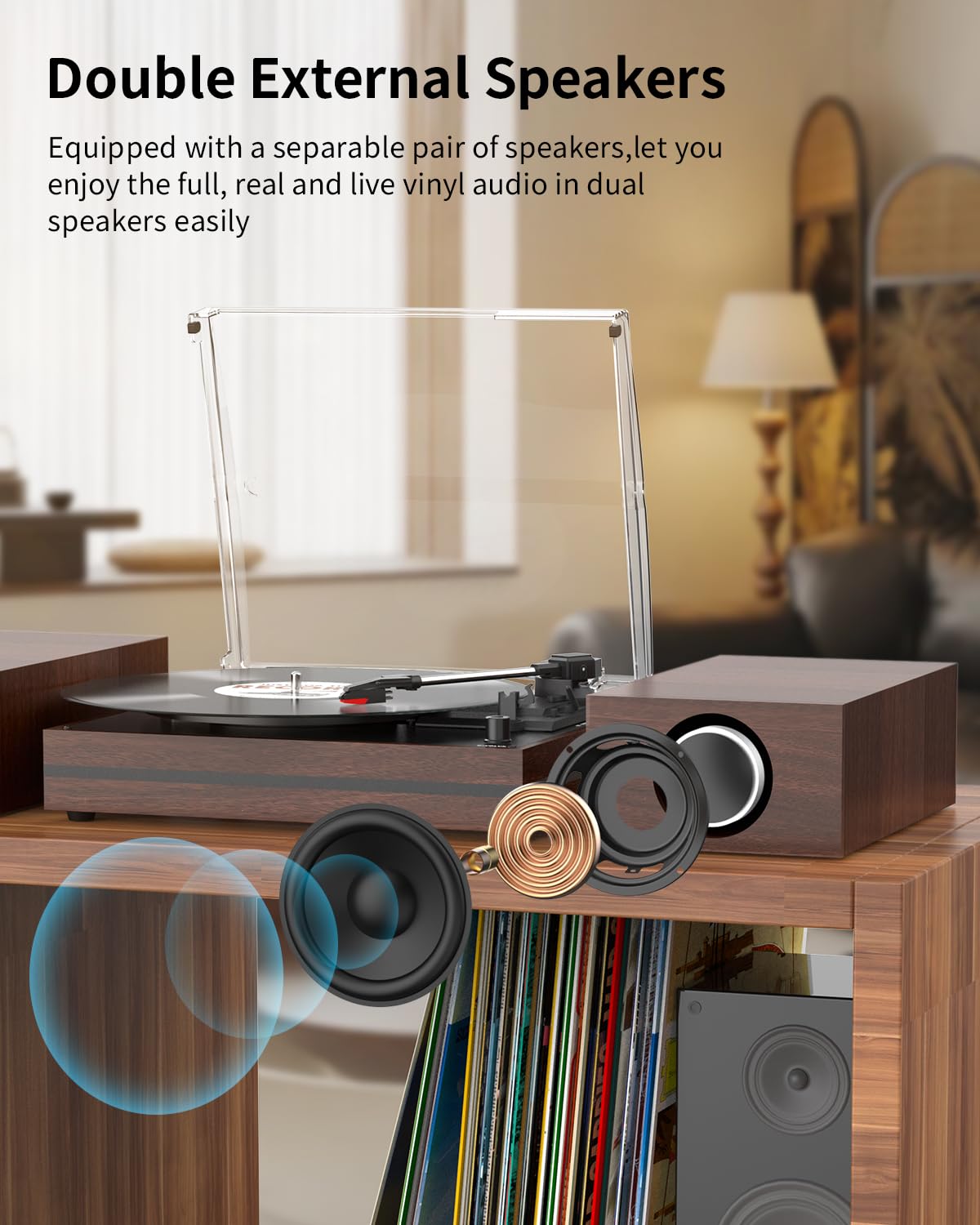 Seasonlife vintage dust cover protects records while preserving easy access.