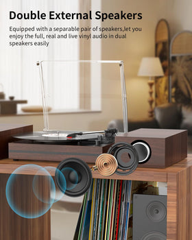 Seasonlife vintage dust cover protects records while preserving easy access.