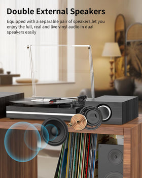Seasonlife wood-black turntable with detachable dust cover protects records when idle.