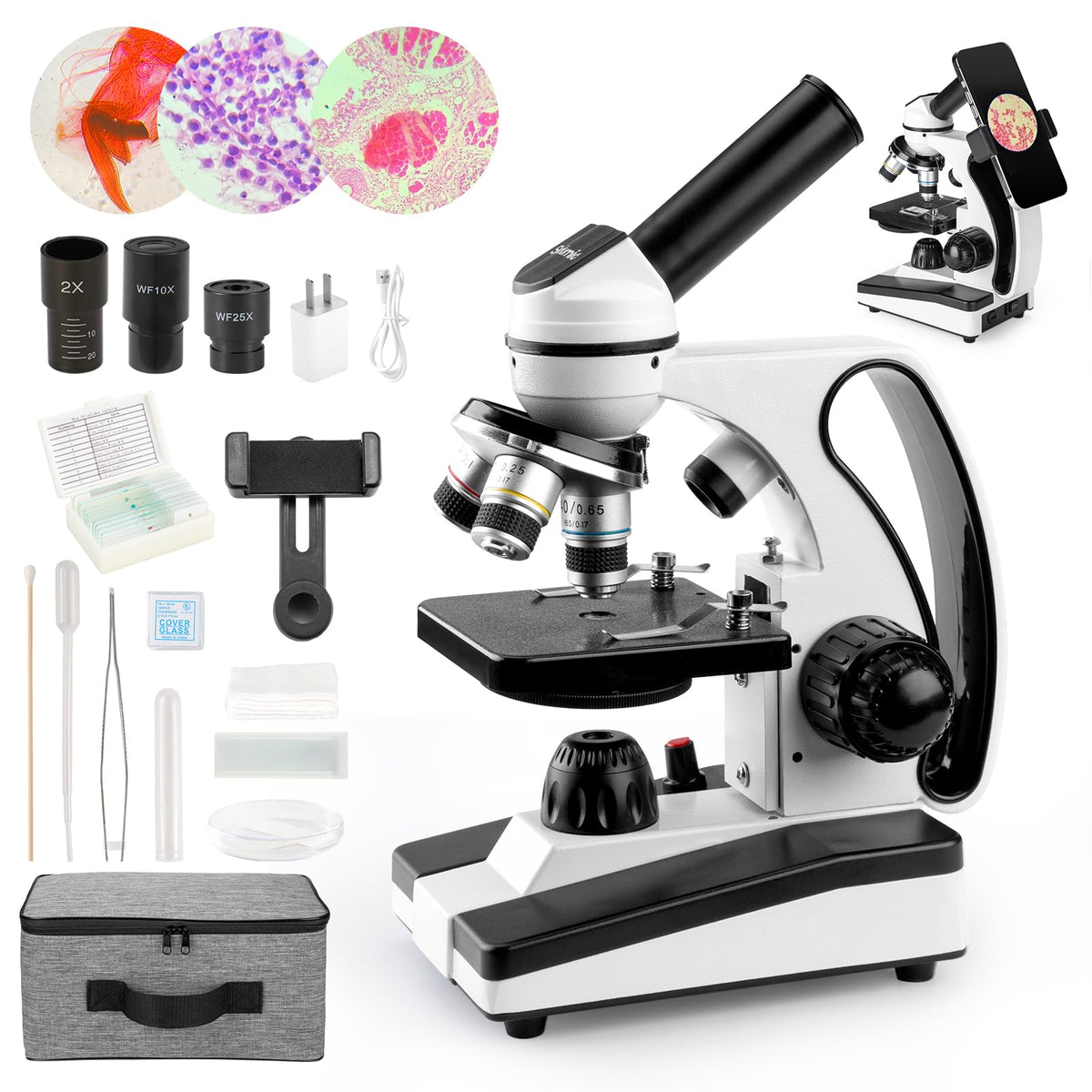 Sedumic Microscope shows a 40X objective close-up ideal for classroom observation.