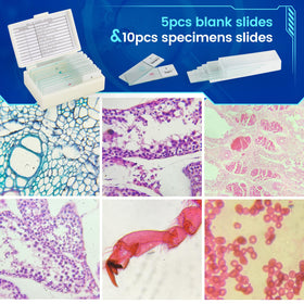 Sedumic Microscope is compact for school or lab use, ready for setup.