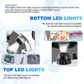 Sedumic Microscope with phone adapter lets you capture observations.